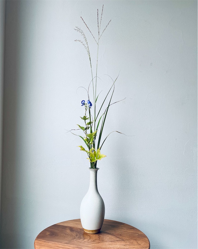 f:id:mforest205:20210904230853j:image