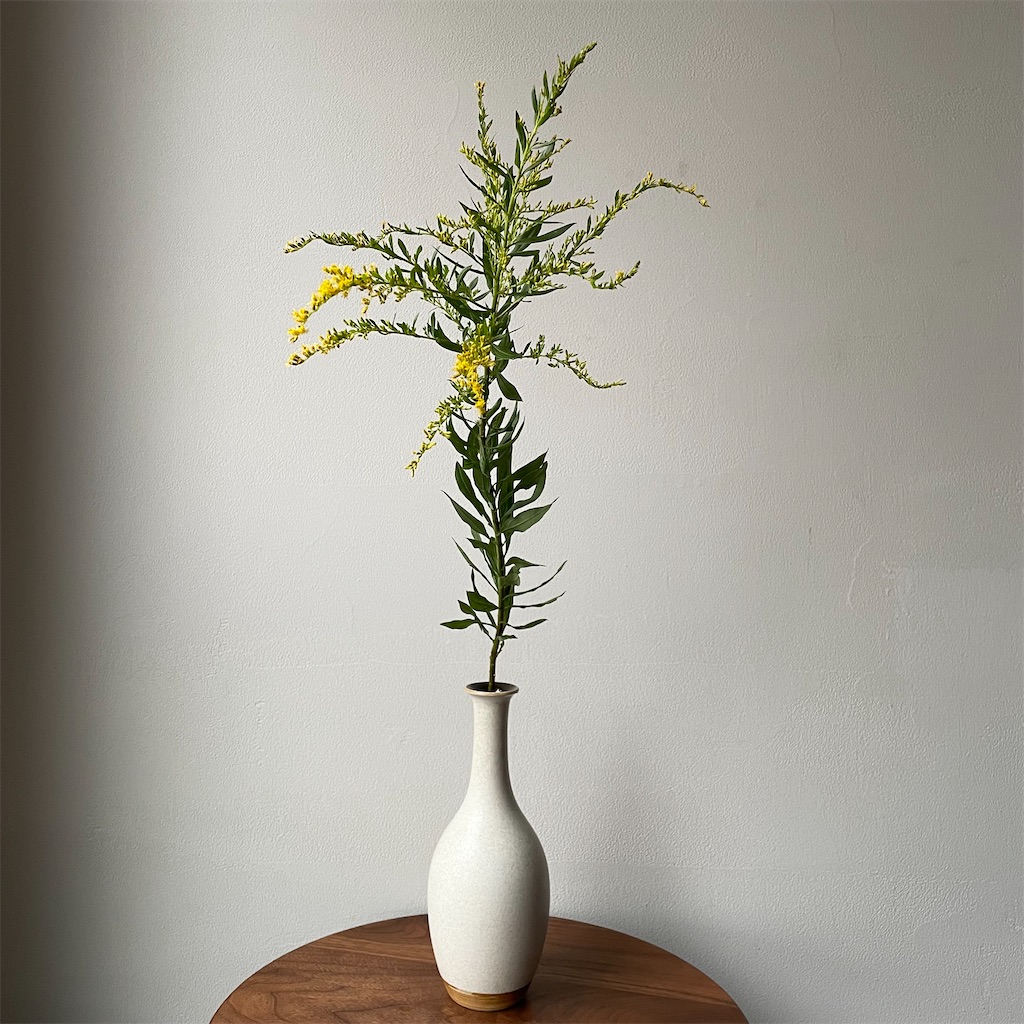 f:id:mforest205:20211020212201j:image f:id:mforest205:20211020212201j:image