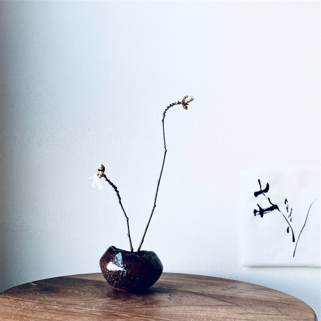 f:id:mforest205:20230320161143j:image