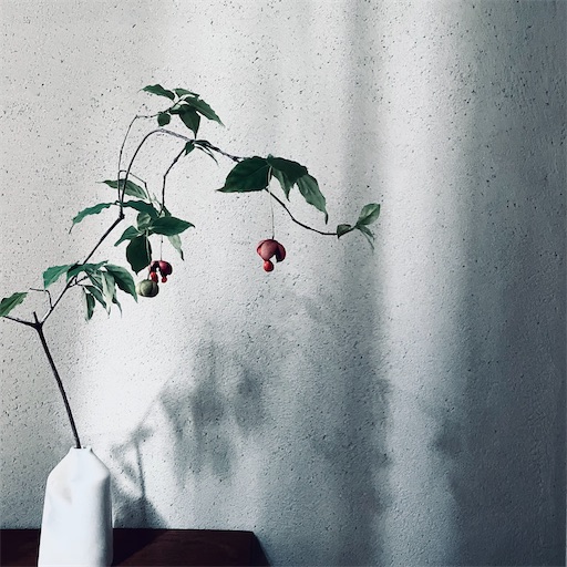 f:id:mforest205:20251023165816j:image