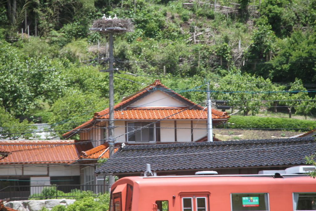 f:id:mfujihara:20180524152700j:plain f:id:mfujihara:20180524152700j:plain