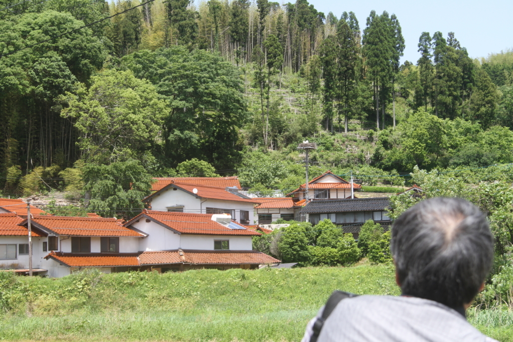 f:id:mfujihara:20180524152808j:plain f:id:mfujihara:20180524152808j:plain