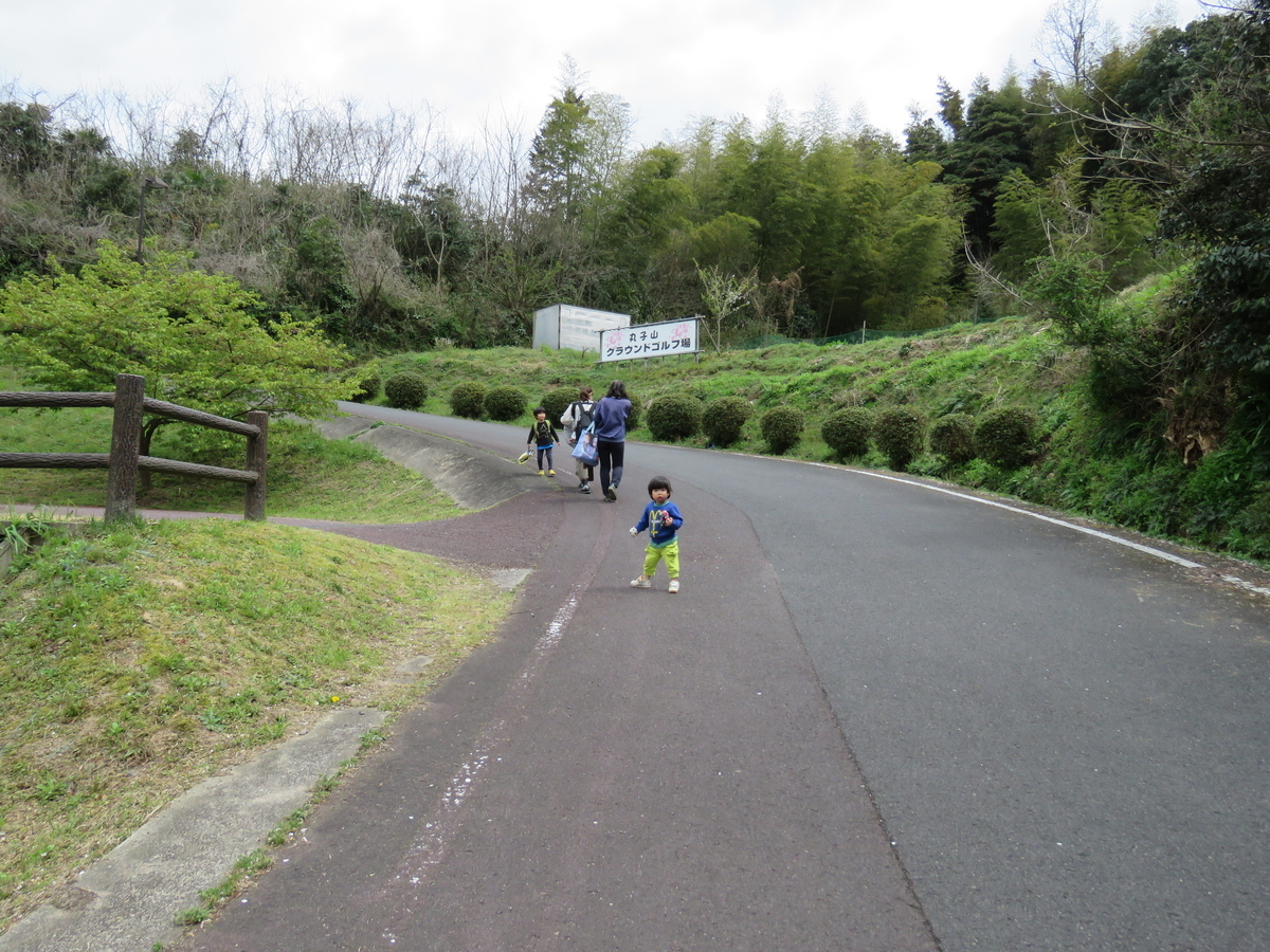f:id:mfujihara:20200405180629j:plain