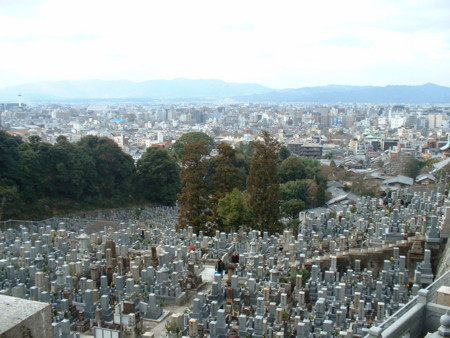 大晦日と四葉のタクシー 藤野正弘の京都まち暮らし
