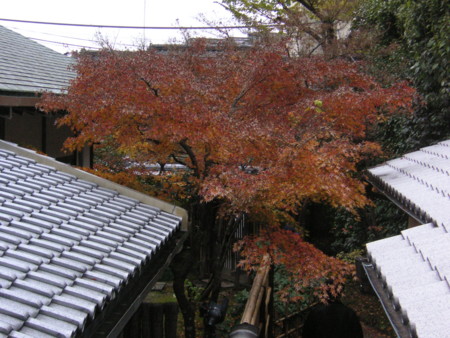 f:id:mfujino706:20091212142445j:image
