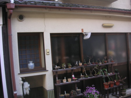 f:id:mfujino706:20150314154220j:image