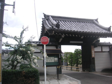 f:id:mfujino706:20180815133316j:image