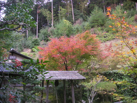 f:id:mfujino706:20181113152249j:image
