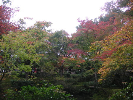f:id:mfujino706:20181113153101j:image