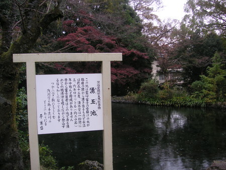 f:id:mfujino706:20181122111556j:image