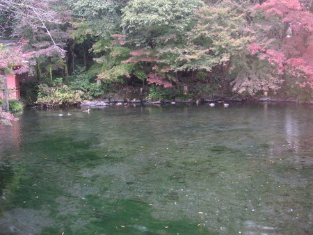 f:id:mfujino706:20181122111615j:image