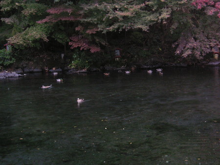 f:id:mfujino706:20181122111627j:image