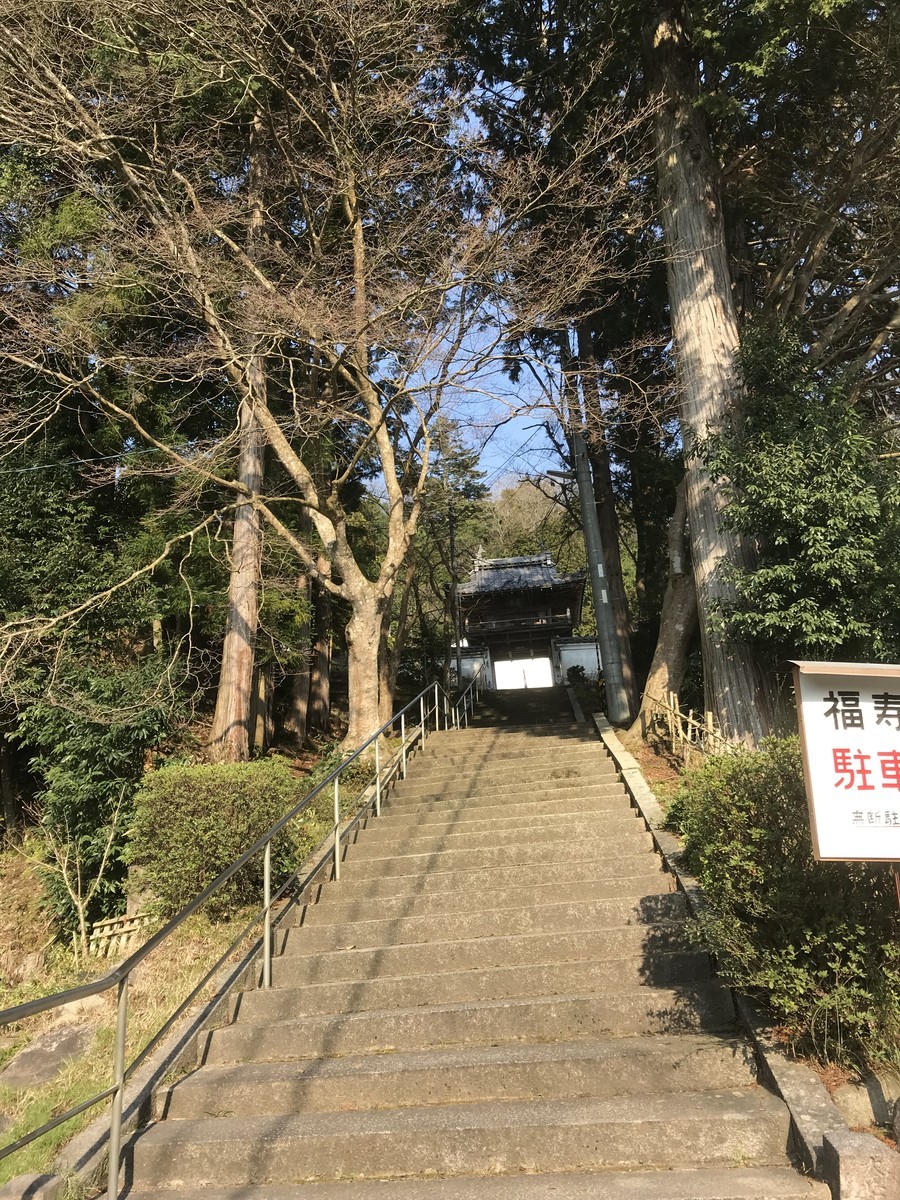 f:id:mfujino706:20200317153519j:plain