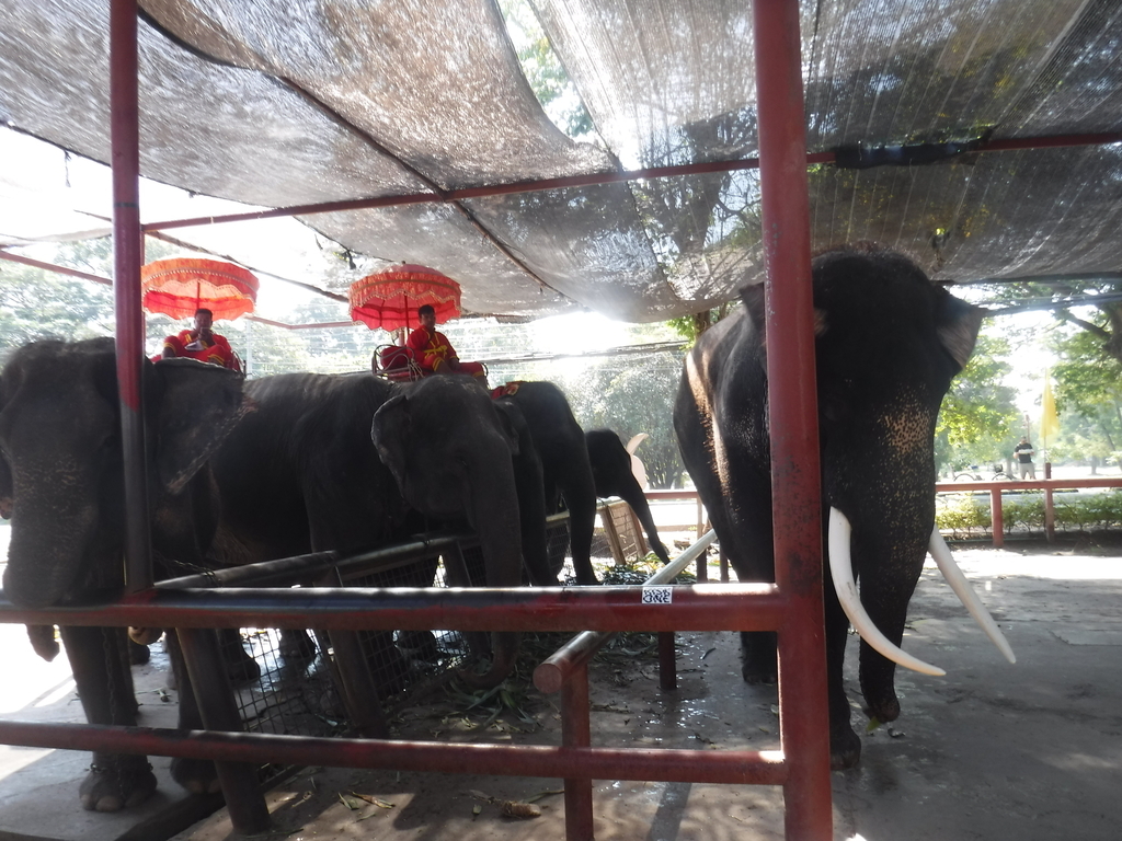 f:id:mfuku4585:20181209233048j:plain