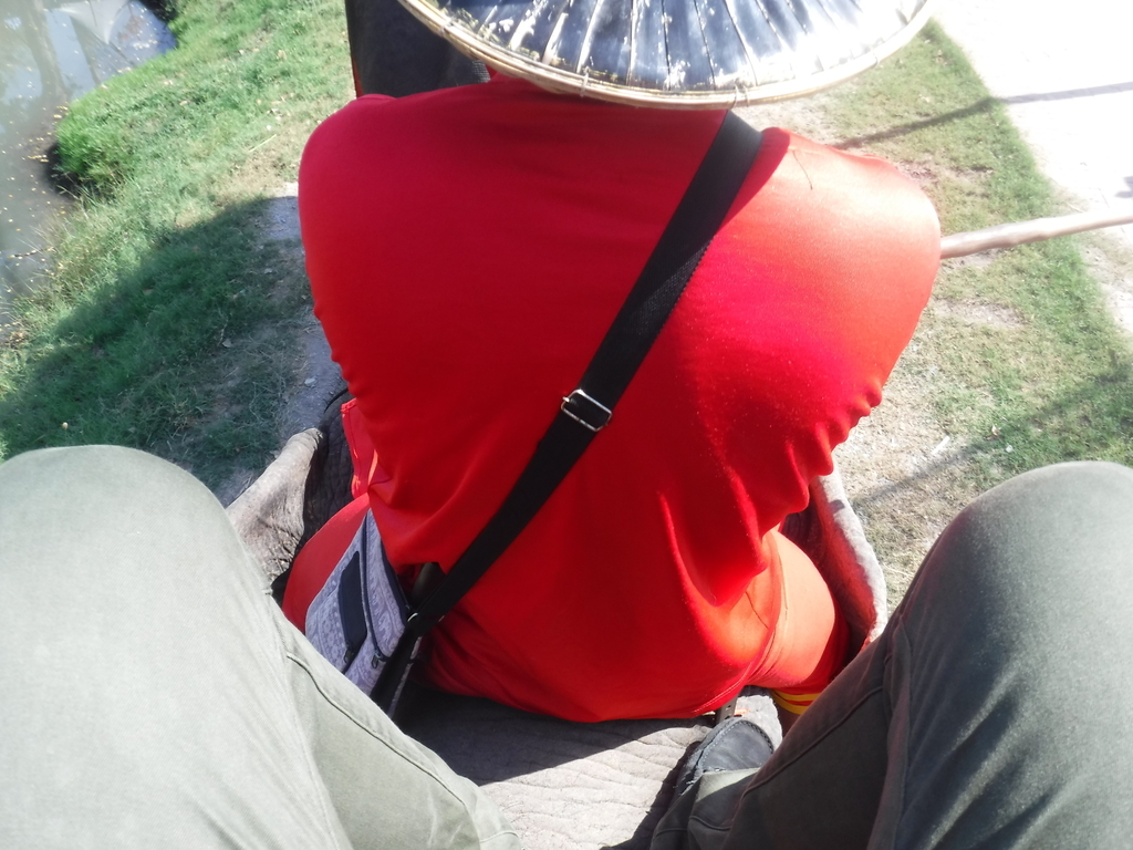 f:id:mfuku4585:20181209233421j:plain