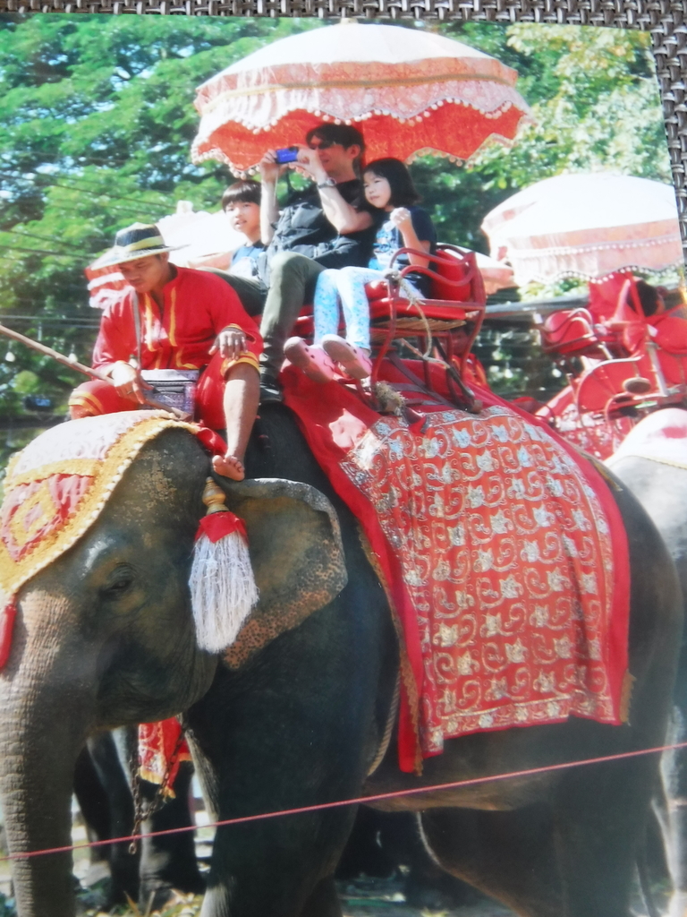 f:id:mfuku4585:20181209233715j:plain