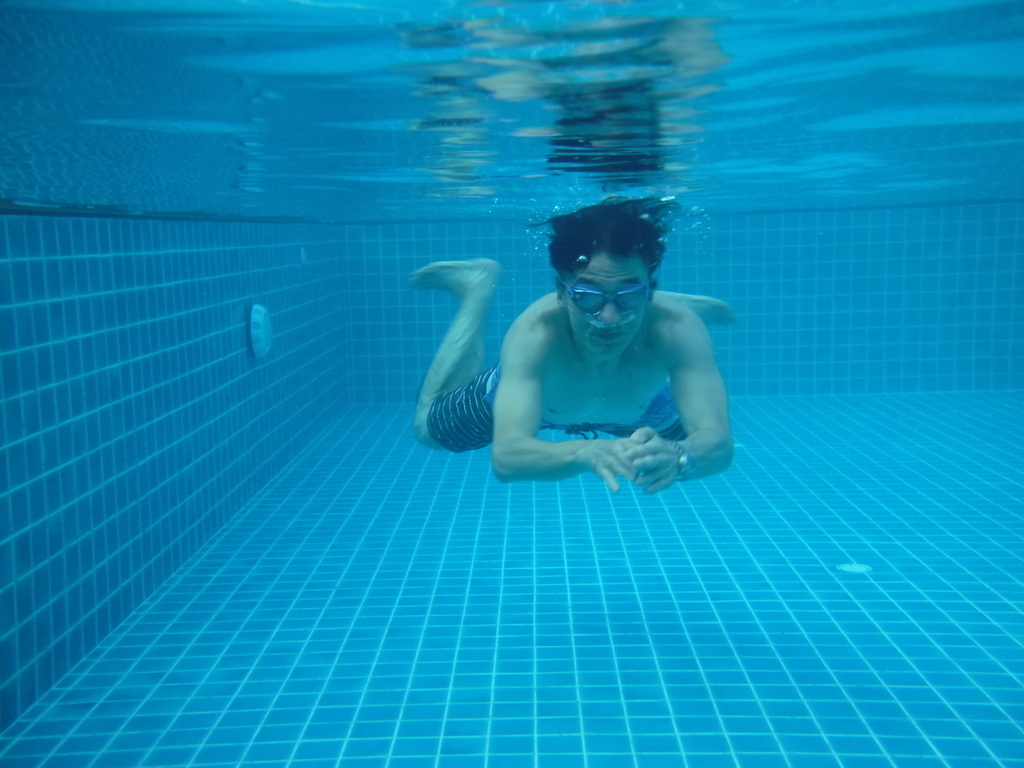 f:id:mfuku4585:20181210000107j:plain