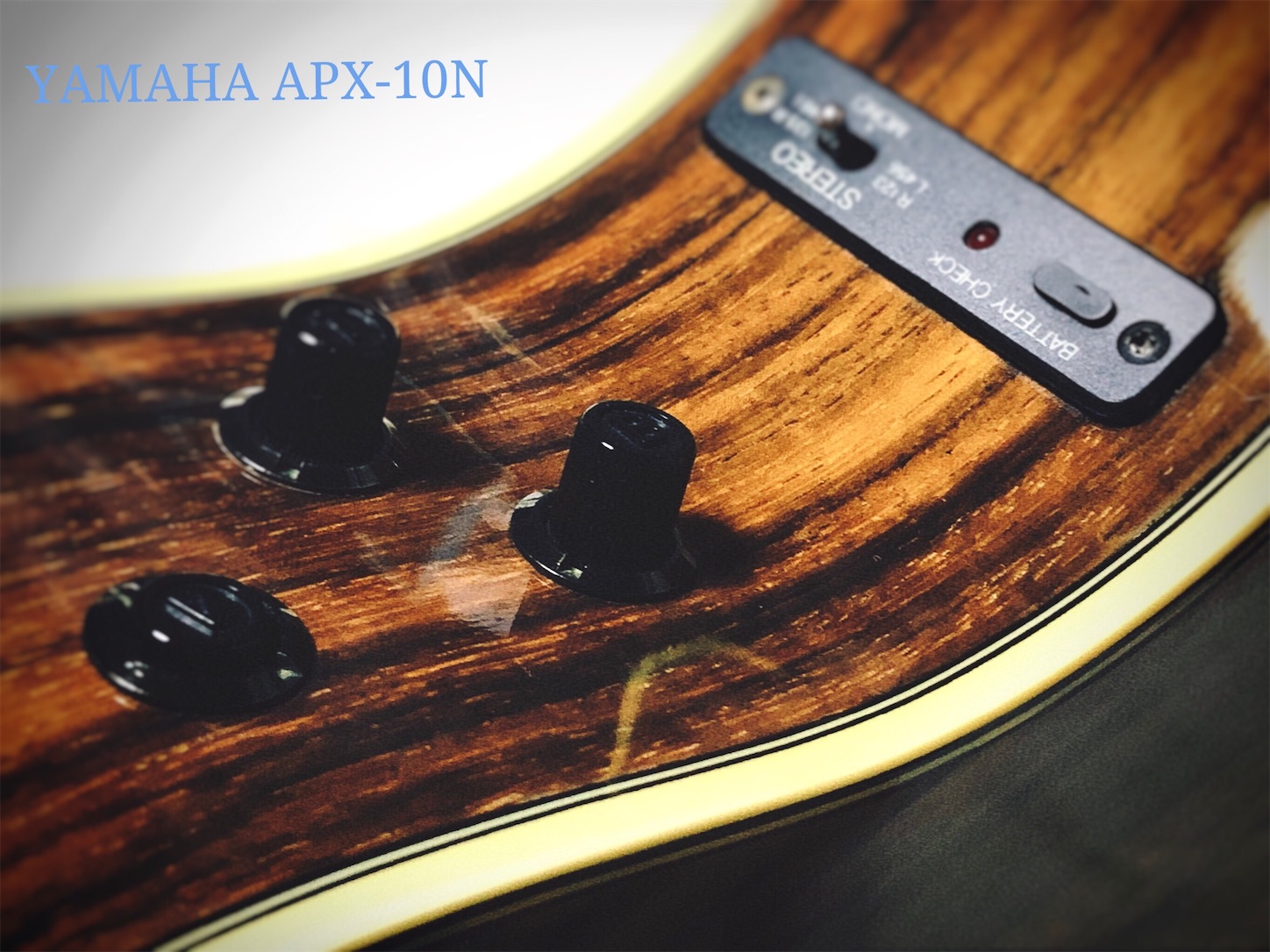 YAMAHA APX -NYLON STRINGS MODEL- - YAMAHA MG-M series