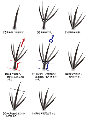 f:id:mg20190101a:20190217134038p:plain