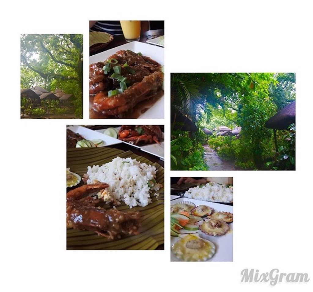 f:id:mg2ya6:20170227190818j:image f:id:mg2ya6:20170227190818j:image