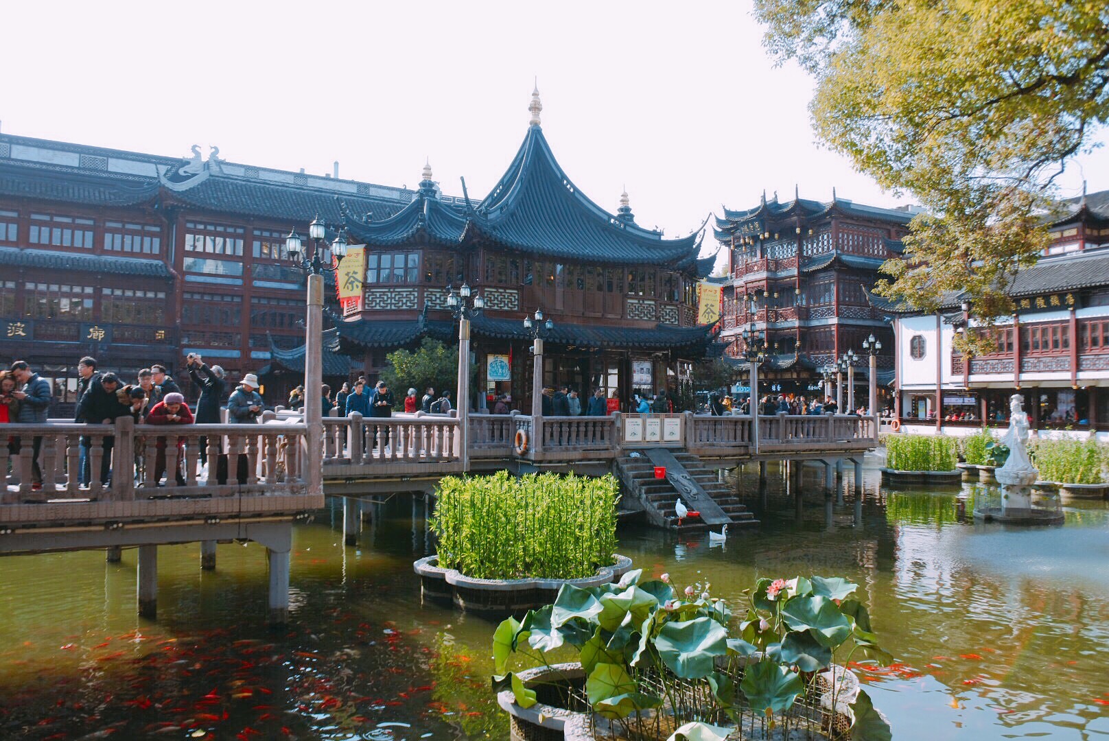 f:id:mg2ya6:20180101232305j:image f:id:mg2ya6:20180101232305j:image