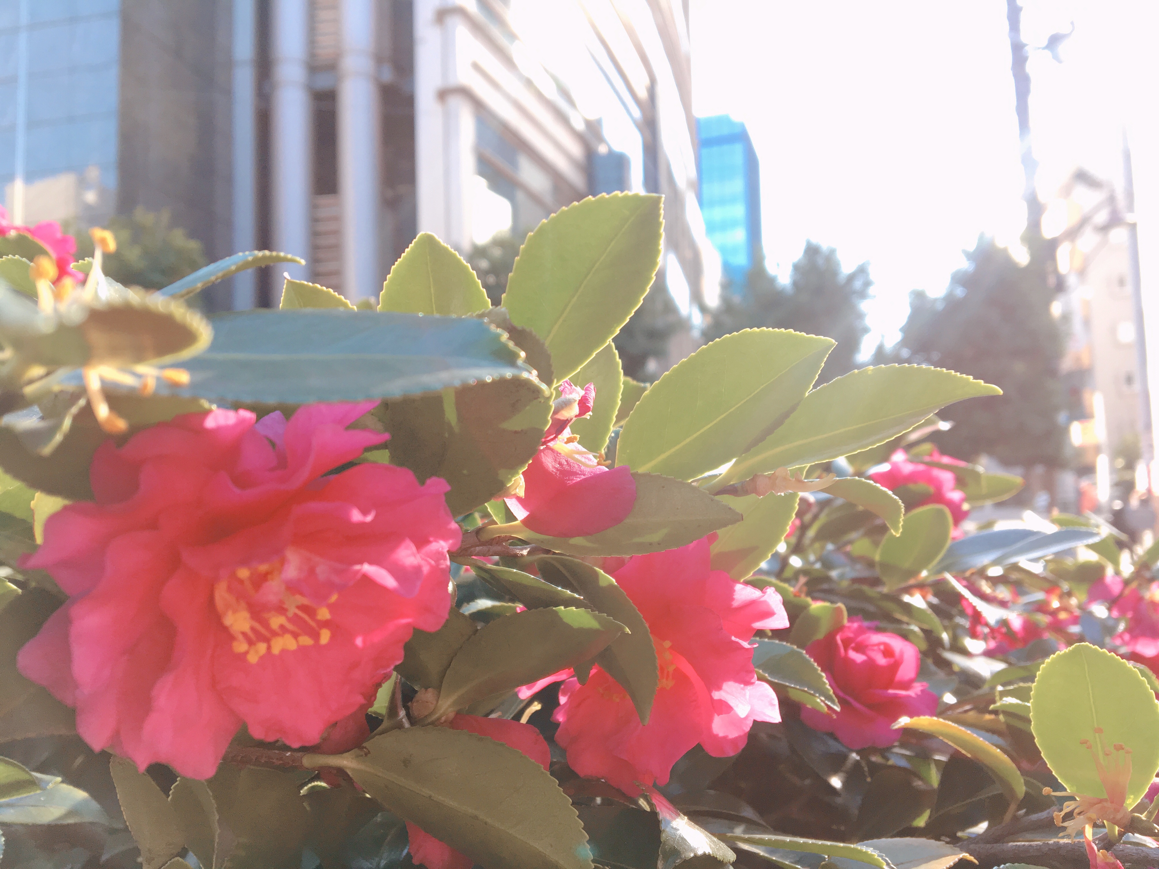 f:id:mg2ya6:20180105121109j:image f:id:mg2ya6:20180105121109j:image