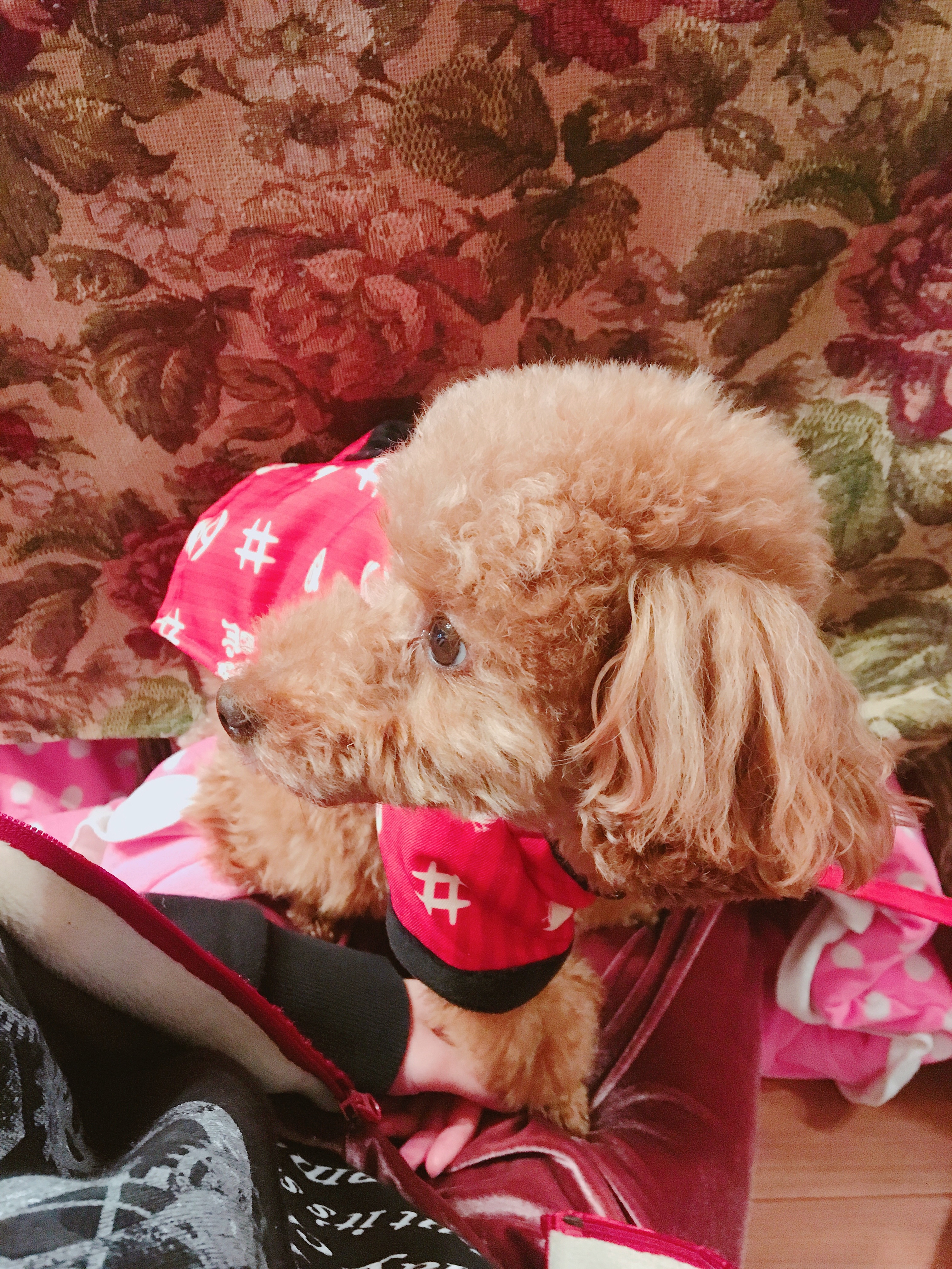 f:id:mg2ya6:20180105130749j:image f:id:mg2ya6:20180105130749j:image