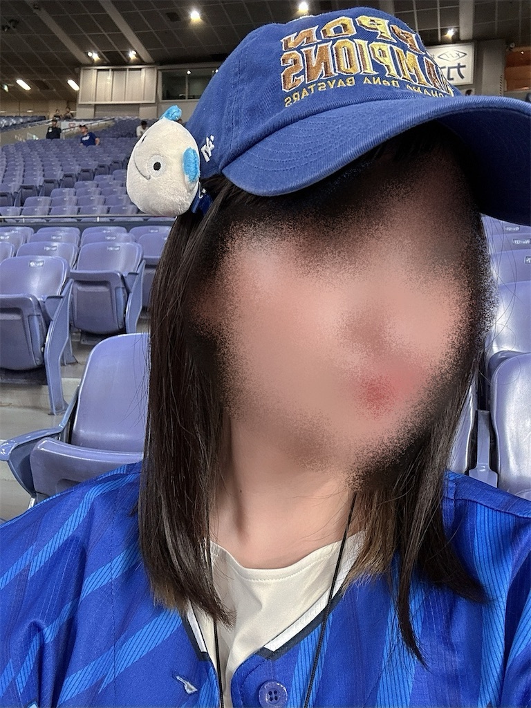 f:id:mgch:20250616023044j:image