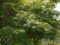 20100430125636