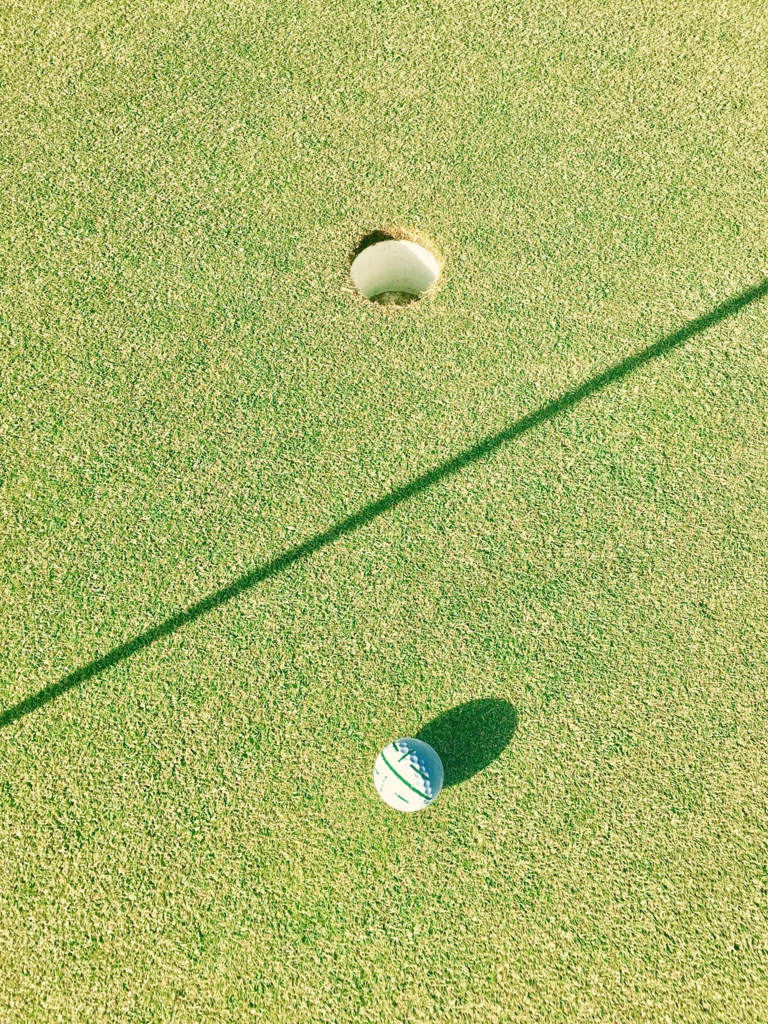 f:id:mgolfer:20170508080945j:plain f:id:mgolfer:20170508080945j:plain