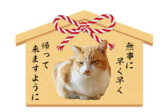 100以上 猫 とびかかる 猫 飛びかかる 噛む