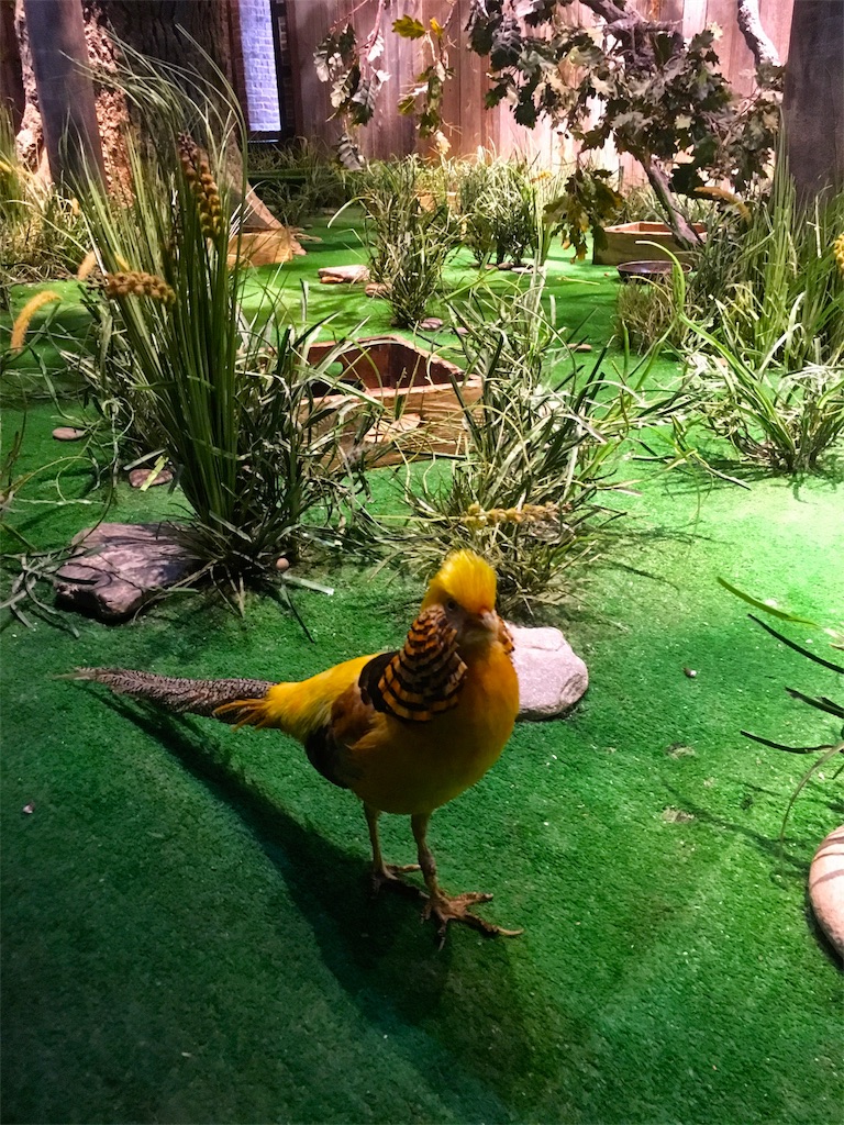 f:id:mgwtw025:20170308003334j:image