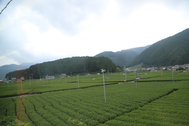 f:id:mgyn19:20200225232547j:plain