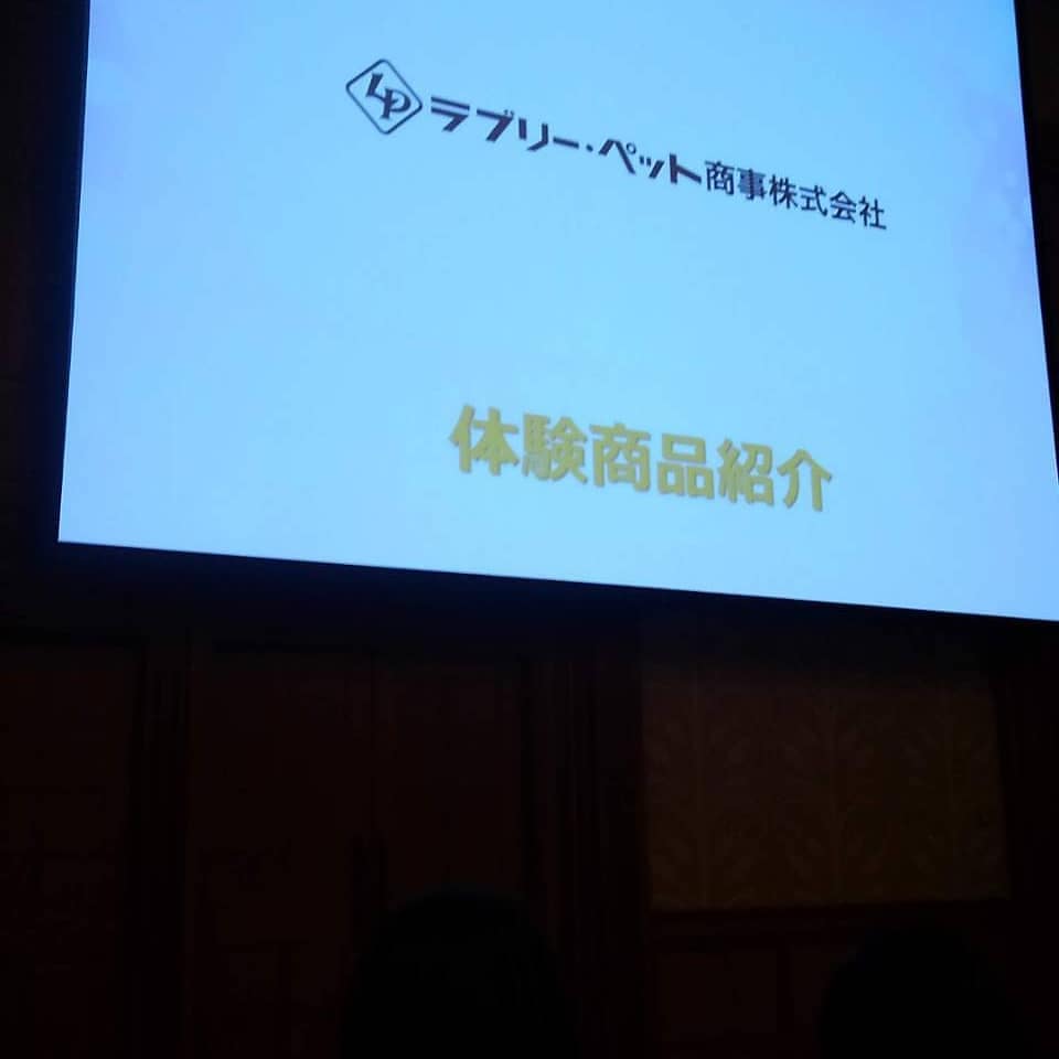 f:id:mh0412:20210219165134j:plain