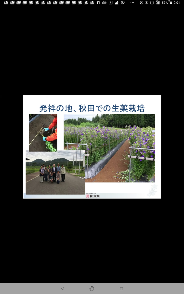 f:id:mh0412:20211226185256p:plain