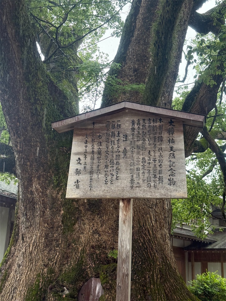 f:id:mh38_ay:20250722004119j:image f:id:mh38_ay:20250722004119j:image