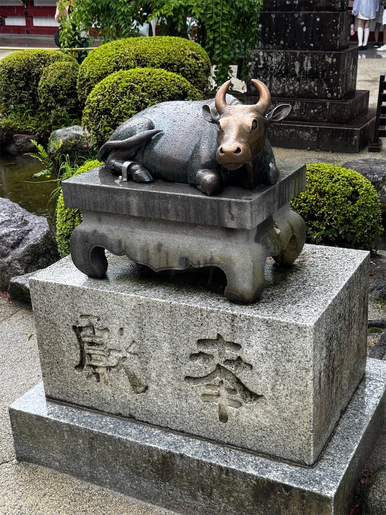 f:id:mh38_ay:20250722072336j:image f:id:mh38_ay:20250722072336j:image