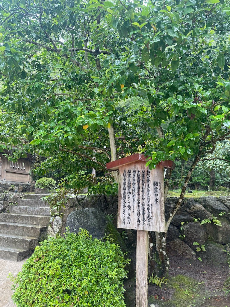 f:id:mh38_ay:20250723231709j:image