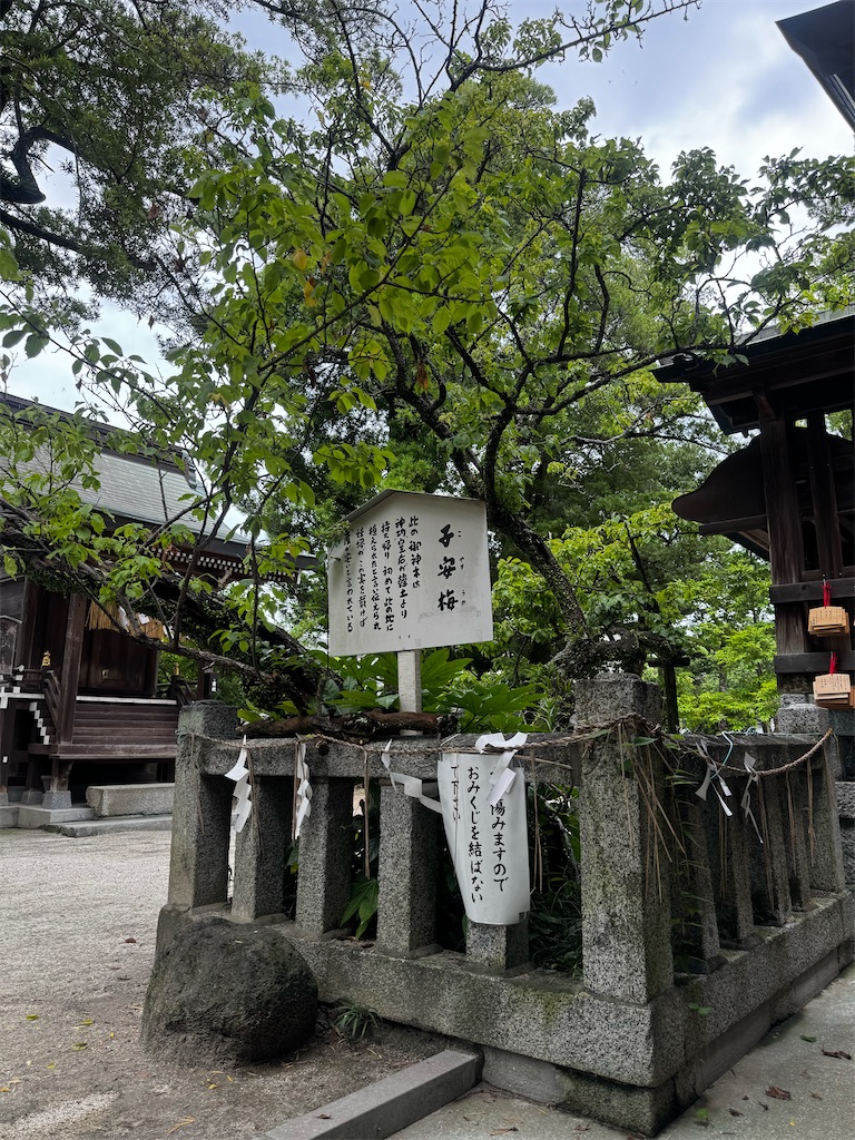 f:id:mh38_ay:20250801175620j:image
