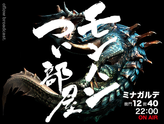 f:id:mh_alpha:20100202224051j:image