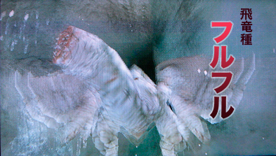 f:id:mh_alpha:20100413181301j:image