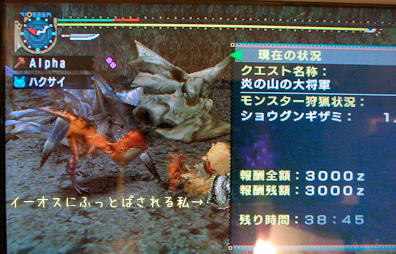 f:id:mh_alpha:20100419125140j:image