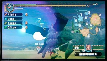 f:id:mh_alpha:20100510133452j:image