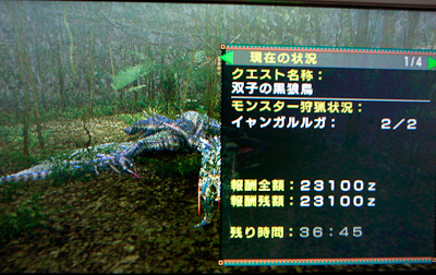 f:id:mh_alpha:20100524003142j:image