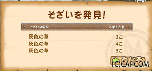 f:id:mh_alpha:20100602104058j:image