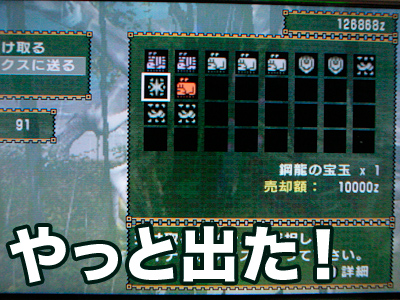 f:id:mh_alpha:20100611113137j:image