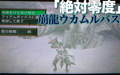 f:id:mh_alpha:20100626113059j:image