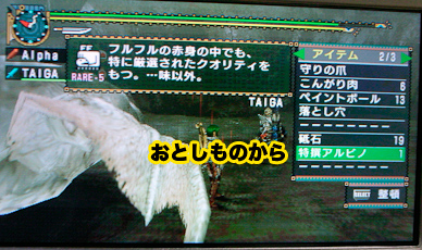 f:id:mh_alpha:20100710104754j:image