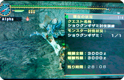 f:id:mh_alpha:20100714125218j:image