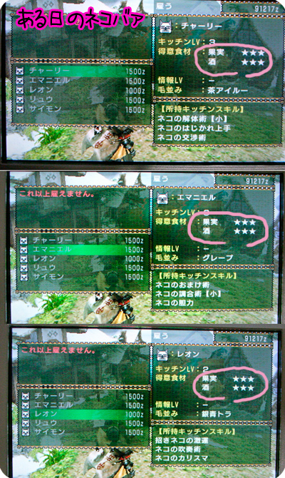 f:id:mh_alpha:20101125125216j:image